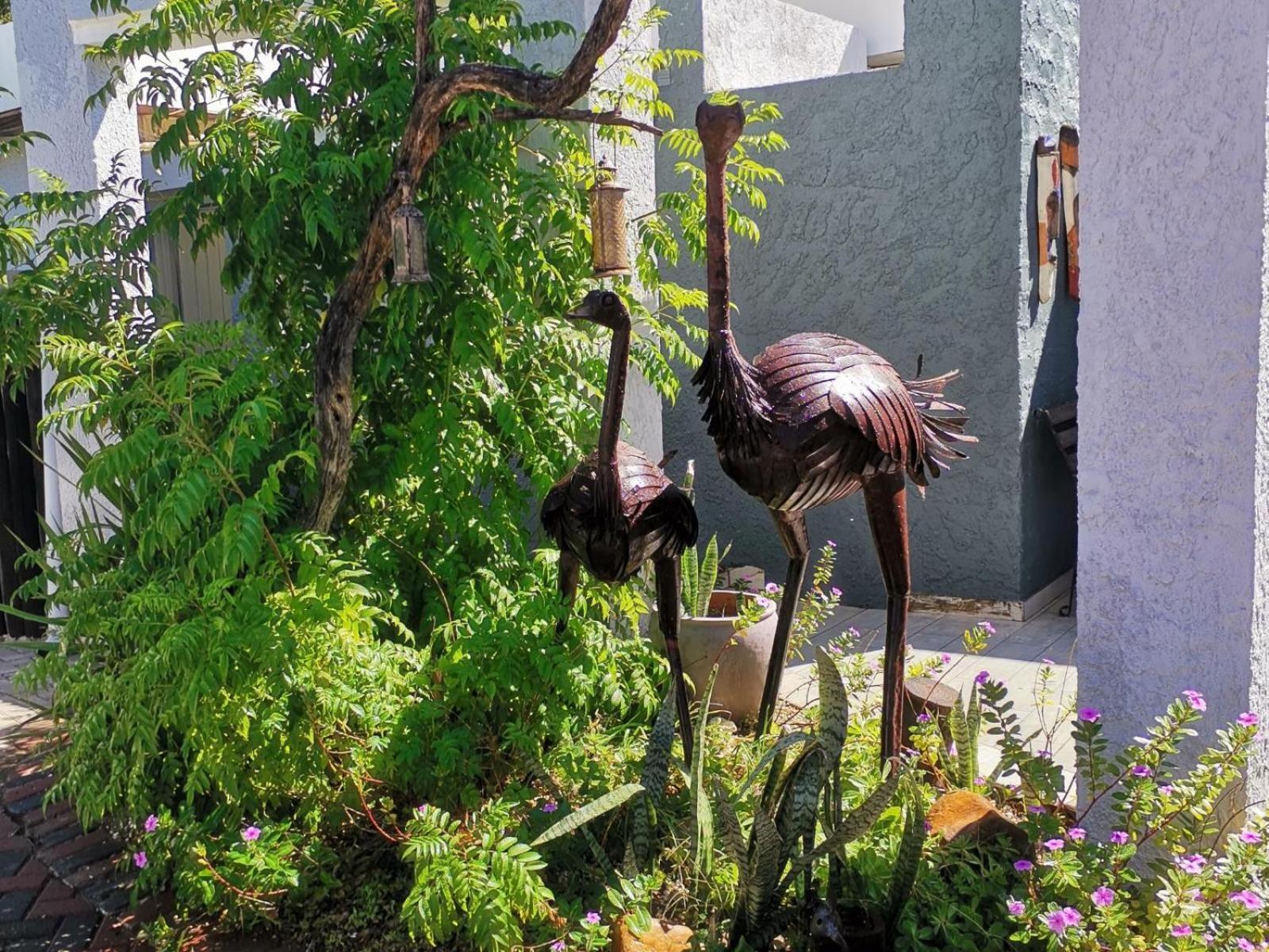 Guesthouse Terra Africa Βίντχουκ Εξωτερικό φωτογραφία