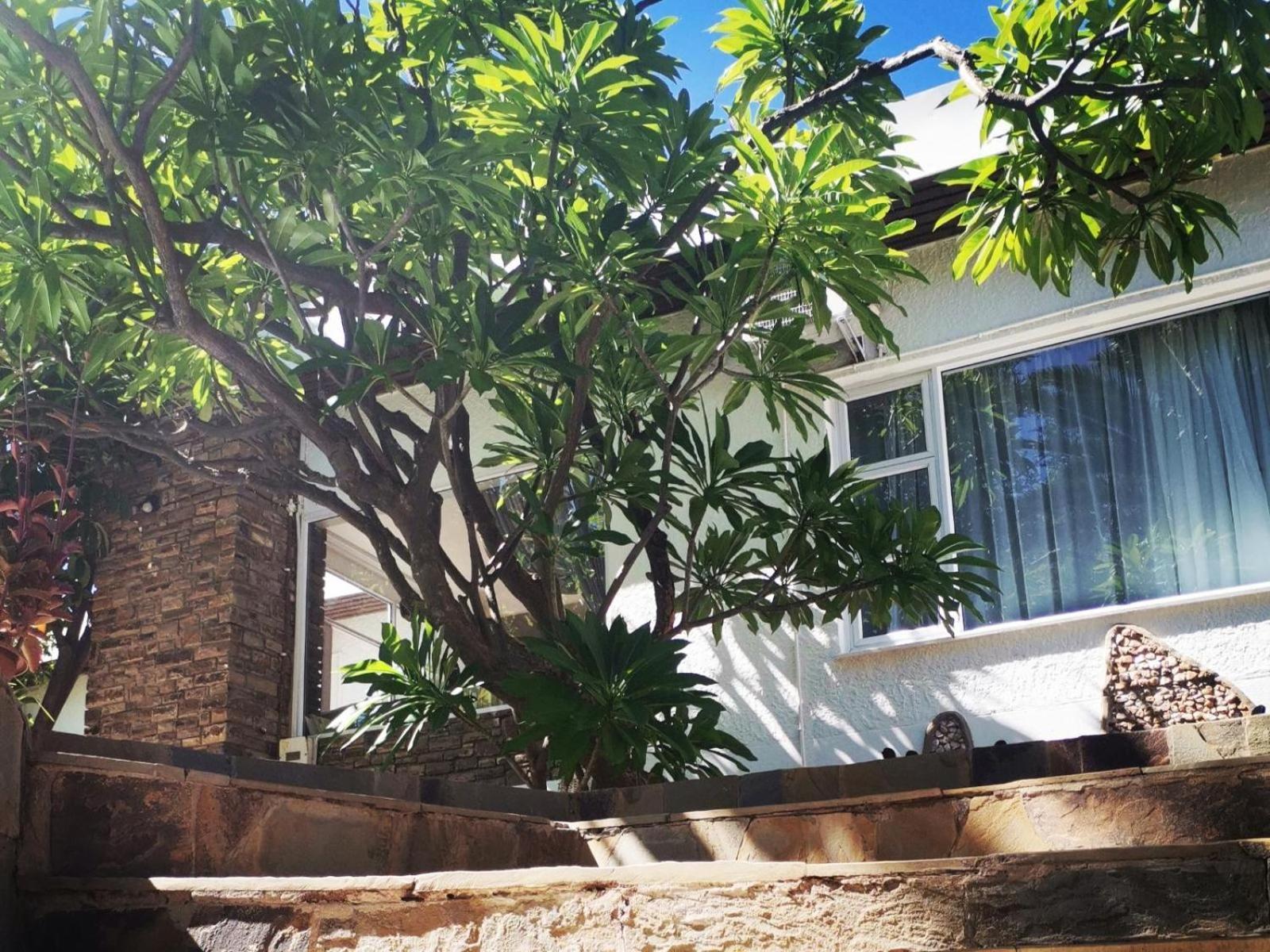 Guesthouse Terra Africa Βίντχουκ Εξωτερικό φωτογραφία